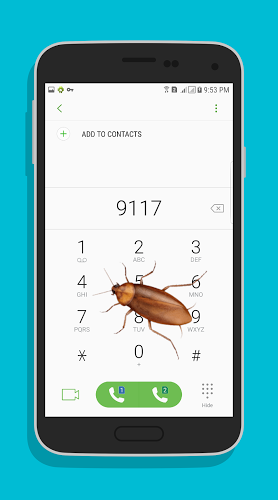 Cockroach Screen (Prank)截图2