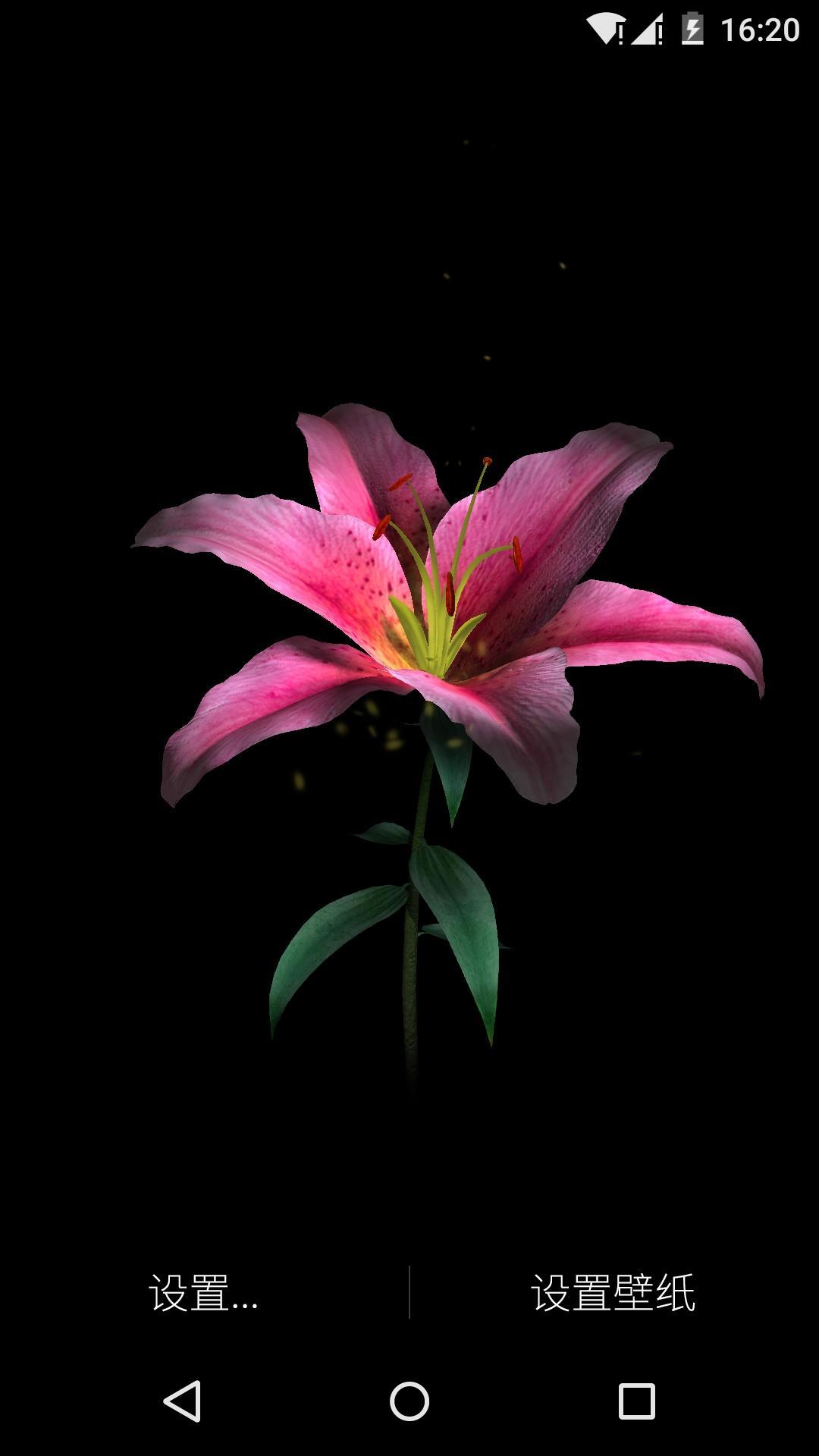 3d百合花-梦象动态壁纸