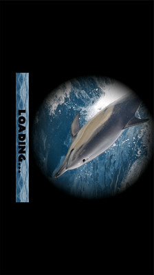 海豚模拟截图1