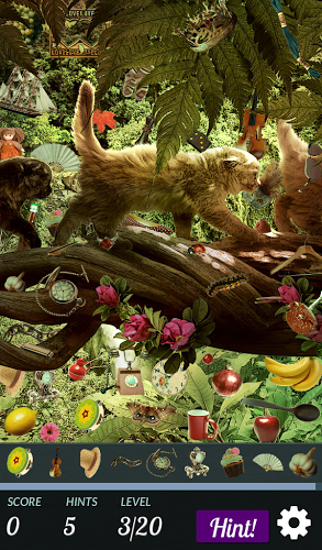 Hidden Object - Cats Island截图3