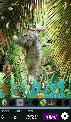 Hidden Object - Cats Island截图4