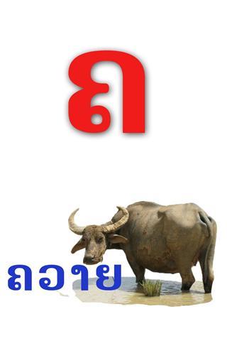 老挝字母截图5