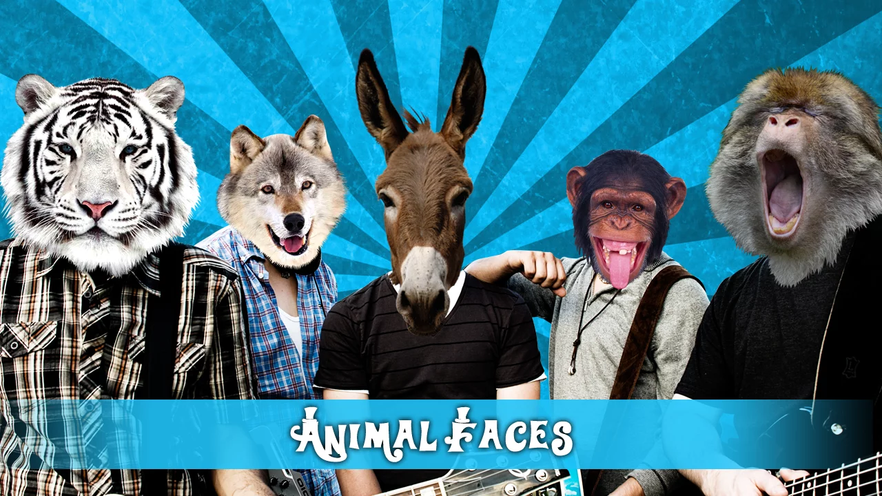 Animal Face截图1