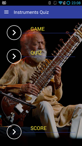 Musical Instruments Quiz截图1