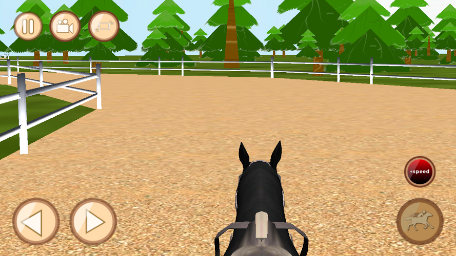 Horse Race截图2