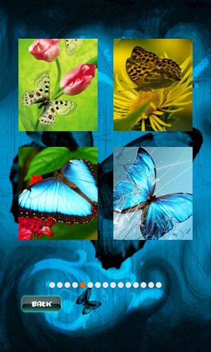 蝴蝶拼图 Butterfly Puzzle截图2
