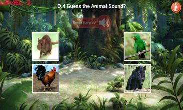 Learn Animal Sounds截图3