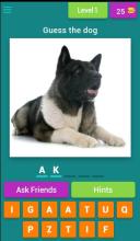 Guess the dog quiz截图1