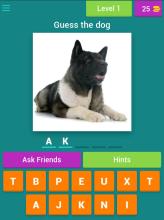 Guess the dog quiz截图4