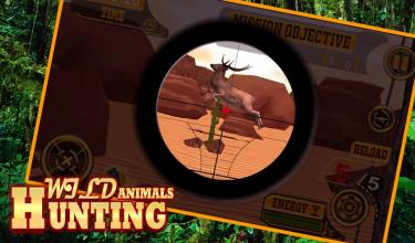 Animal Wild Hunting截图5