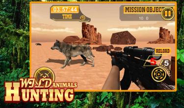 Animal Wild Hunting截图1