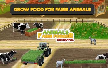 Animal Farm Fodder Growing截图3