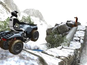 Quad Bike Racing截图3