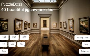 Jigsaw Puzzles: Best Vol 2截图1