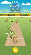 Doodle Bug Cricket截图1