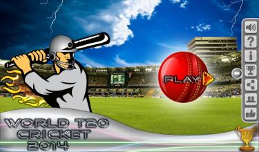 World T20 Cricket截图1