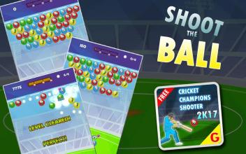 Cricket Champions Shooter 2017截图1