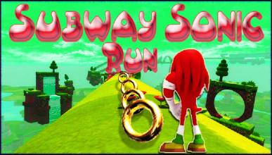 Subway Sonic Adventure截图2