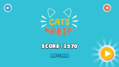 CATS MANIA截图4