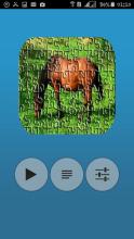 Animals Puzzel Game截图2