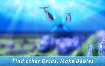 Orca Family Simulator截图2