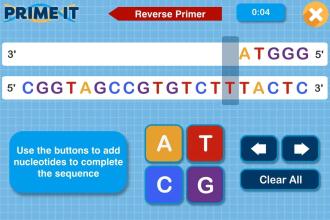 Prime It DNA Game截图2