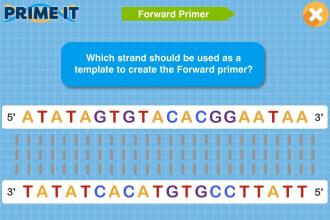 Prime It DNA Game截图4