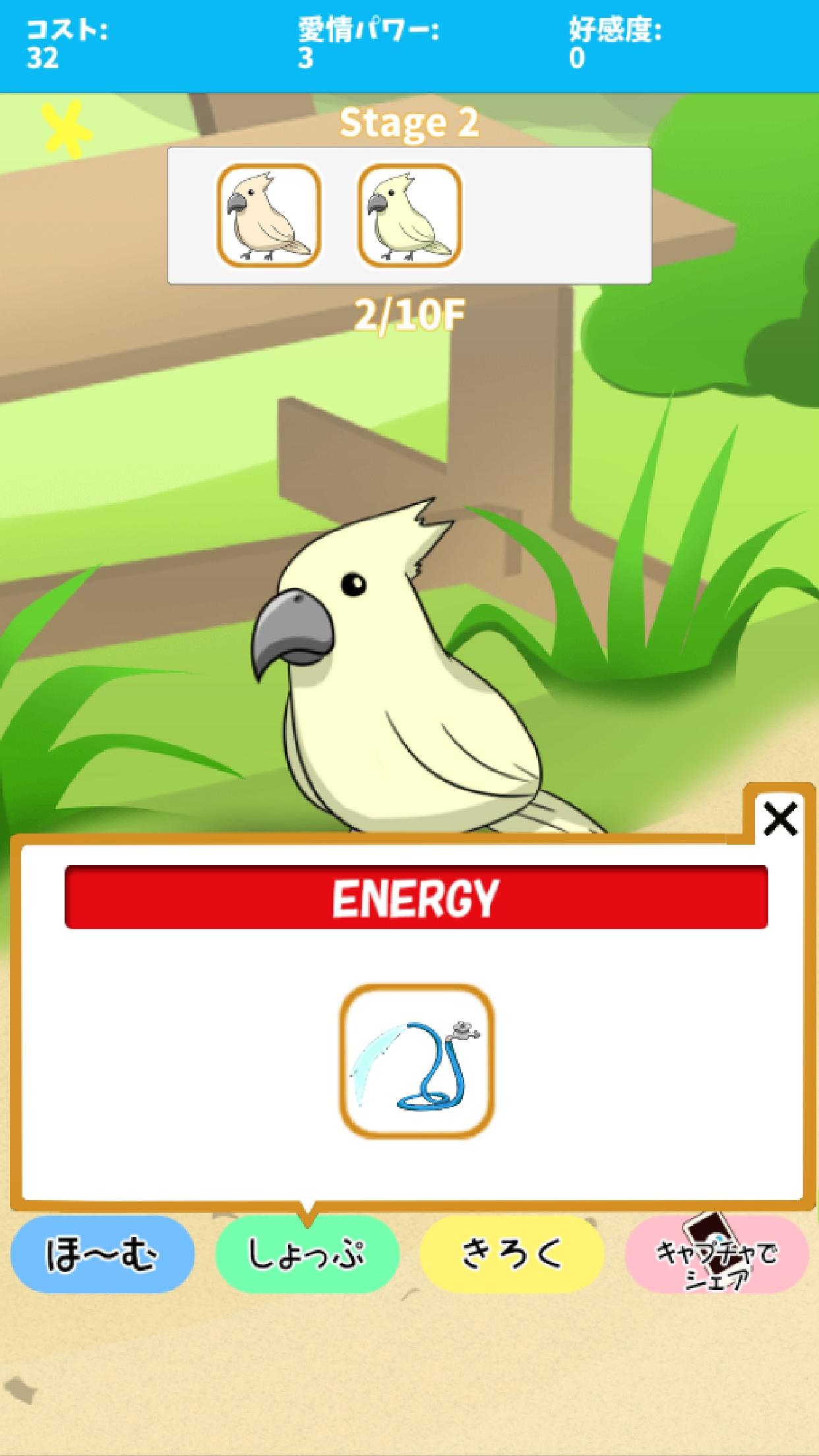 birdwatch ~healing-game~截图1