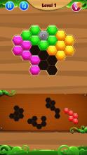 Hexagon Box Puzzle Game!截图5