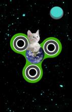 Fidget Spinner: Cats in Space截图5