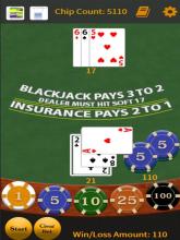 Card Counting Blackjack Free截图5