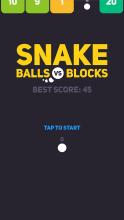 Snake: Balls vs Blocks截图5