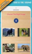 Animal sounds+pictures App For kids截图2