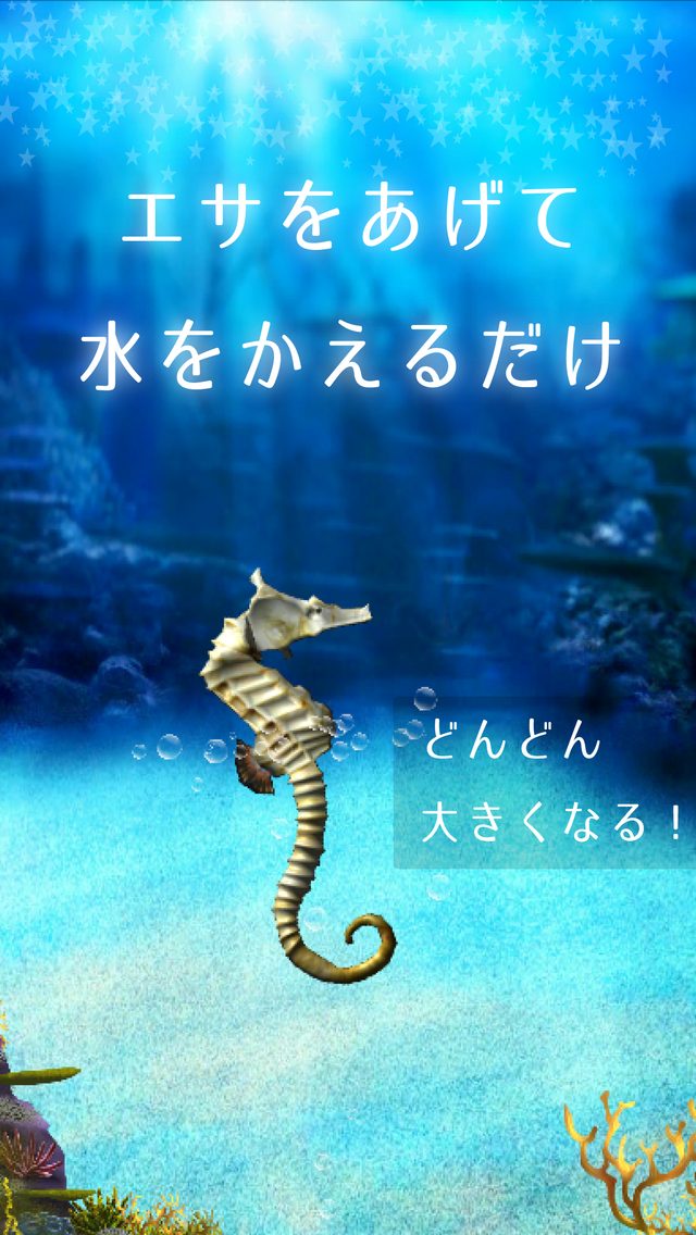 Seahorse simulation game截图2