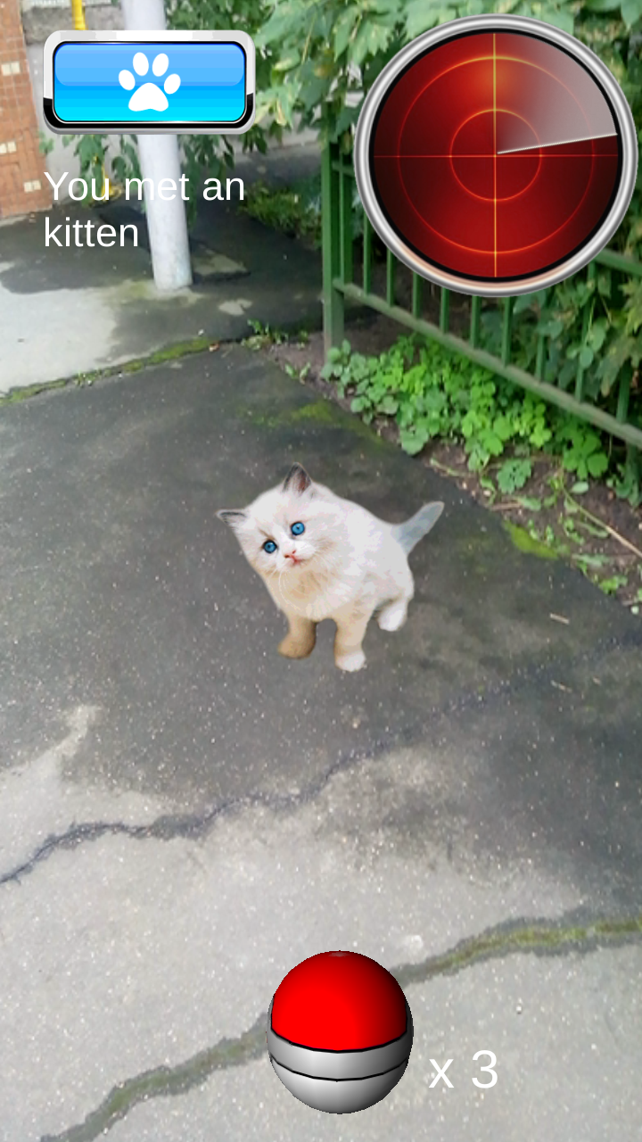 Pocket Kitten GO截图2