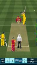 Pro Cricket 2017截图4