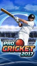 Pro Cricket 2017截图1