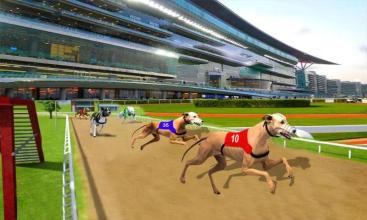 Ultimate Dog Racing截图2