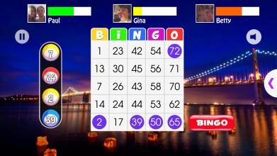 Bingo Nights截图2