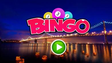 Bingo Nights截图1