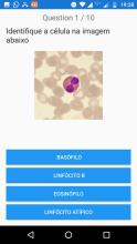 Hematologia game截图2