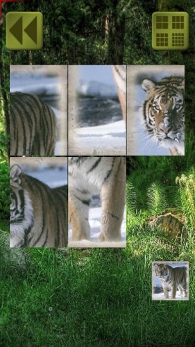 Sliding Puzzle: Animals截图2