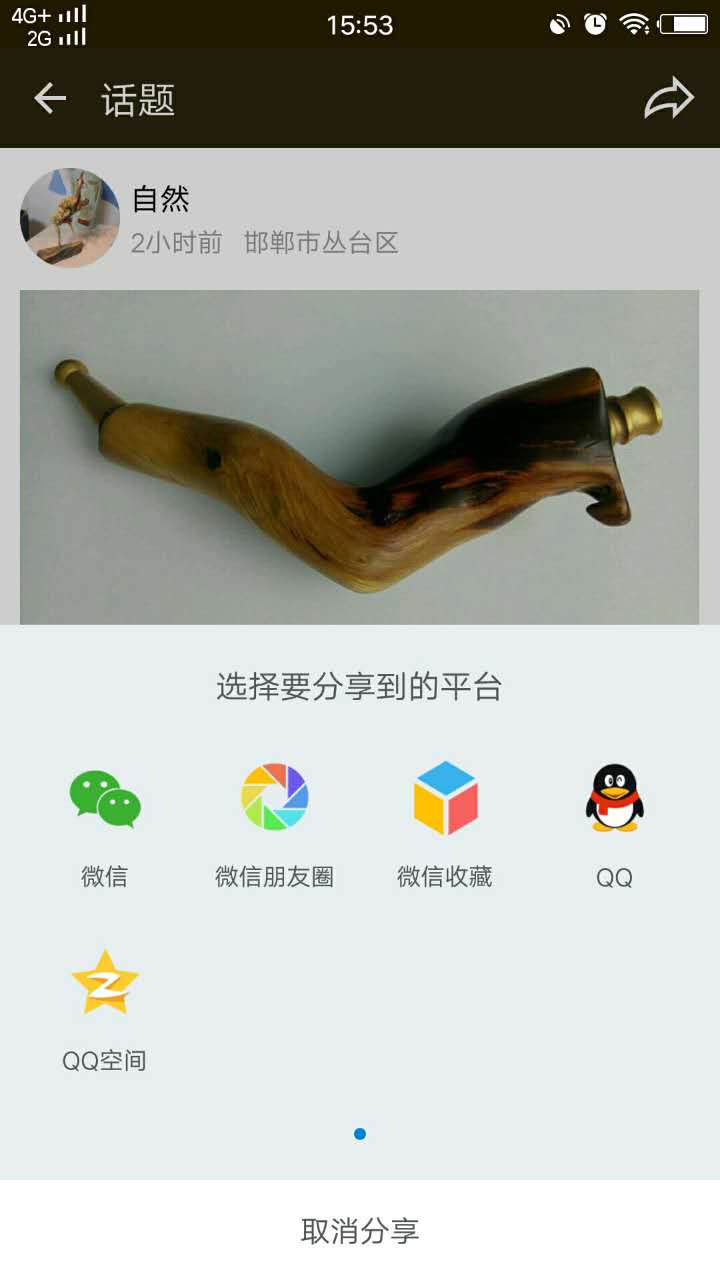 藏根截图2