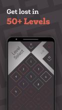 Mazetastic: Light & Shadow Puzzle Game截图2