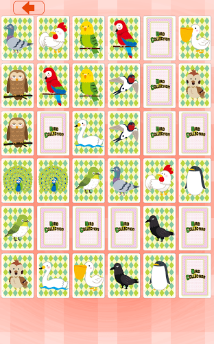 Bird Concentration (card game)截图4