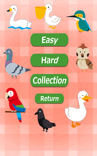 Bird Concentration (card game)截图5