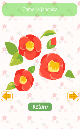 Girlish Flower Concentration截图3