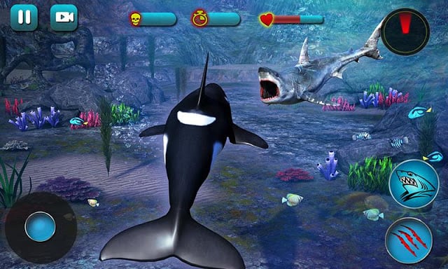 Killer Whale Beach Attack 3D截图3