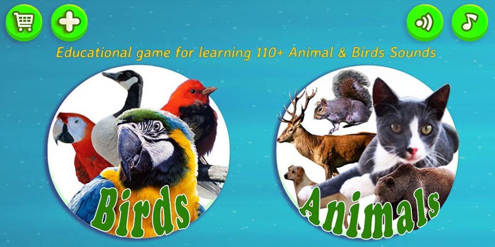 Animals & Birds : Real sound截图1