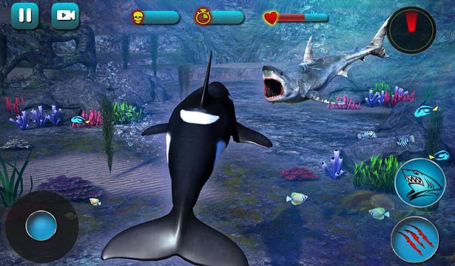 Killer Whale Beach Attack 3D截图5